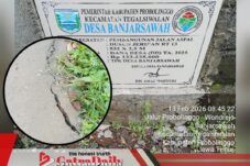 Aspal Jalan Desa Banjarsawah Diduga Tak Sesuai Spesifikasi, Monev Kecamatan Dipertanyakan