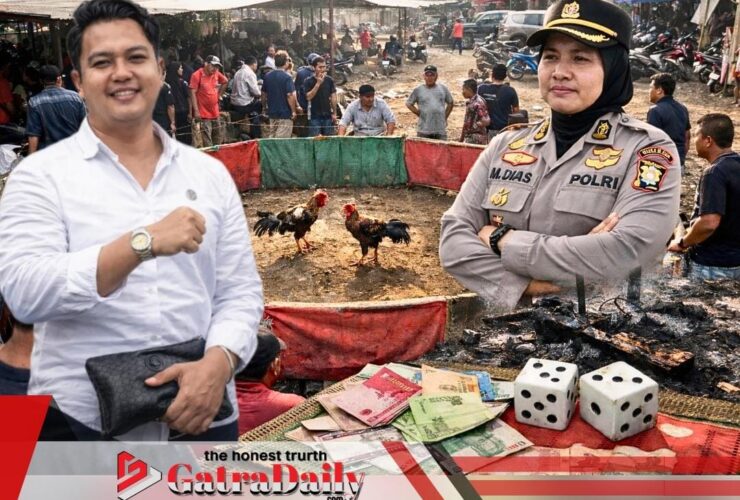 Judi Sabung Ayam di Sedati Kembali Beroperasi, Praktisi Hukum Soroti Ketegasan Aparat