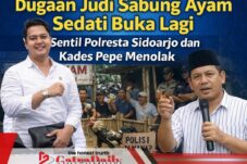 Dugaan Judi Sabung Ayam Sedati Buka lagi, Yoga Sentil Polresta Sidoarjo dan Kades Pepe Menolak