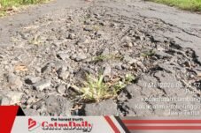 Baru Setengah Tahun, Aspal Dana Desa Purut-Lumbang Rusak dan Ditumbuhi Rumput