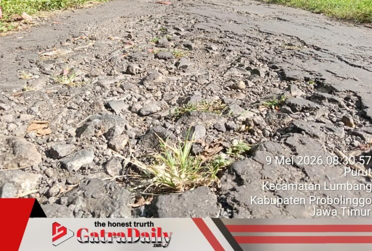 Baru Setengah Tahun, Aspal Dana Desa Purut-Lumbang Rusak dan Ditumbuhi Rumput