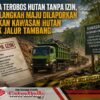 Diduga Terobos Hutan Tanpa Izin, CV Melangkah Maju Dilaporkan Gunakan Kawasan Hutan untuk Jalur Tambang