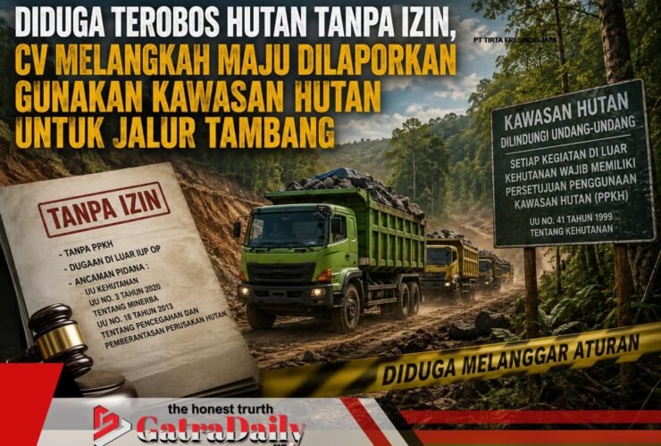 Diduga Terobos Hutan Tanpa Izin, CV Melangkah Maju Dilaporkan Gunakan Kawasan Hutan untuk Jalur Tambang