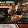 Satgas Pangan Polres Pasuruan Pastikan Harga Telur Stabil, Stok di Pasar Bangil Melimpah