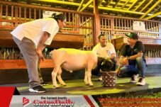 Kepala Desa Hoho dan Ketua Squad Nusantara Apresiasi Pengembangan Peternakan di LASKAR Farm Lapas Karawang