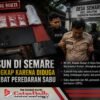 Kasun di Semare Ditangkap karena Diduga Terlibat Peredaran Sabu